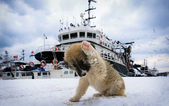 Фотохроника 25 января
