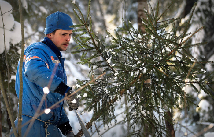 США выдали визу космонавту Чубу