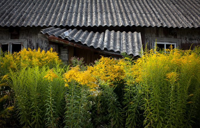 Росреестр уточнил нюансы покупки заброшенных дач