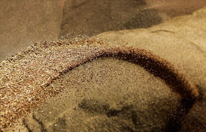 Минсельхоз РФ с 1 февраля прекратит реализацию зерна из интервенционного фонда