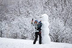Сугробы в Москве подросли до рекордных для зимы 49 см