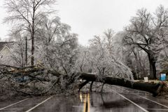 В США шторм оставил без электричества почти 300 тысяч человек