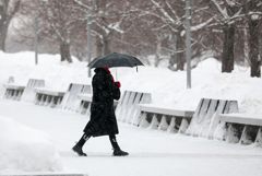 Четверть месячной нормы осадков выпала за двое суток в Москве