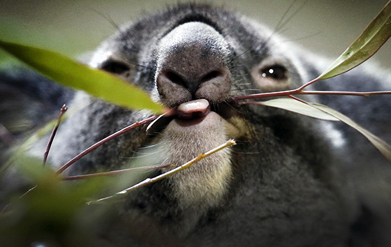Фотохроника 11 февраля
