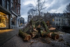 В Европе ураган "Юнис" унес жизни 16 человек