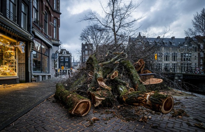 В Европе ураган "Юнис" унес жизни 16 человек
