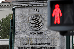 В ЕС задумались об отмене режима наибольшего благоприятствования в ВТО для РФ