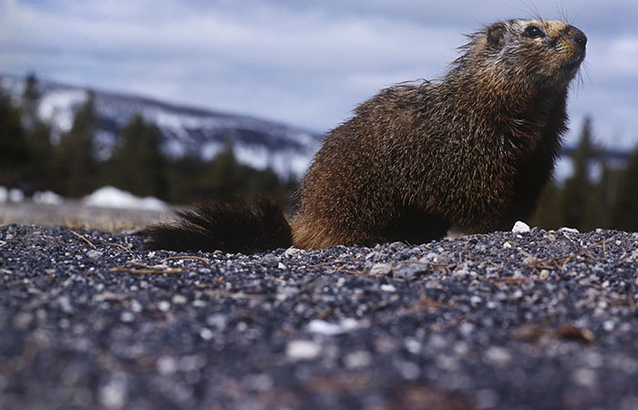 Что произошло в мире науки. Вечерний дайджест