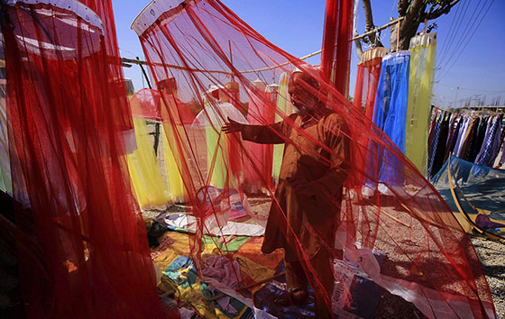 Фотохроника 16 марта