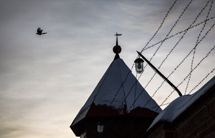 Дума одобрила поправки о лишении свободы на 15 лет за фейки о госорганах РФ