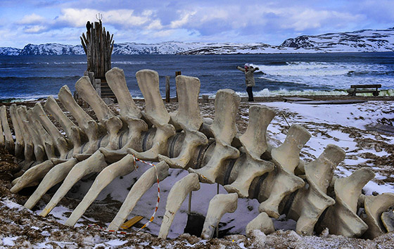 Фотохроника 24 марта