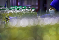 Решение о квотировании экспорта подсолнечного масла из РФ поддержано таможенниками