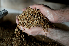 Экспортную пошлину на пшеницу из РФ с 30 марта повысили до $87 с $86,4 за т