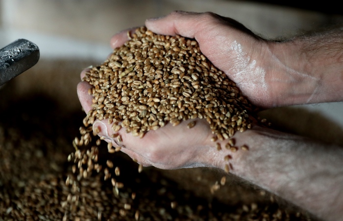 Экспортную пошлину на пшеницу из РФ с 30 марта повысили до $87 с $86,4 за т