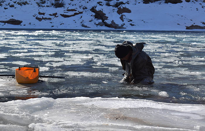 Минприроды РФ в начале апреля направит в правительство закон о старателях