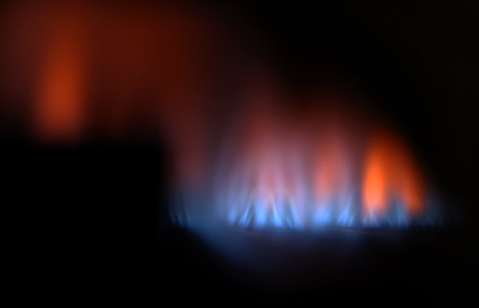 Франция и Германия заявили о готовности к возможному прекращению поставок газа из РФ