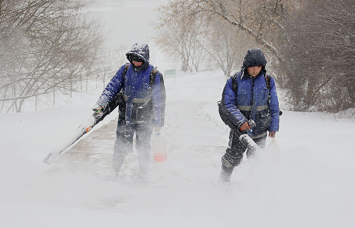 Высота снежного покрова в Москве за выходные подрастет более чем на 10 см