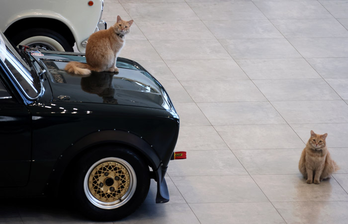 Продажи "АвтоВАЗа" в России в марте рухнули на 63,6%