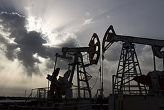 Австрия полностью отказалась от российской нефти