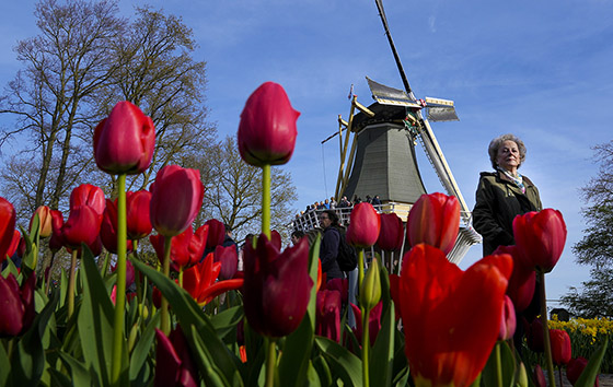 Фотохроника 12 апреля