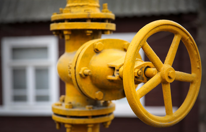 Путин поручил расширить программу газификации российских регионов