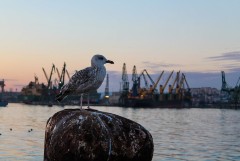 Болгария закрыла судам из России доступ в свои порты
