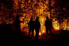 Пожароопасный сезон наступил почти во всей Сибири из-за ранней весны