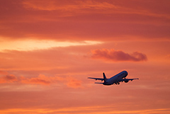 Ограничения на полеты в южные аэропорты РФ продлены до 22 сентября