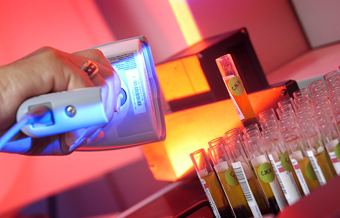 Что произошло в мире науки. Вечерний дайджест