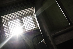 Белорусские депутаты одобрили введение смертной казни за терроризм