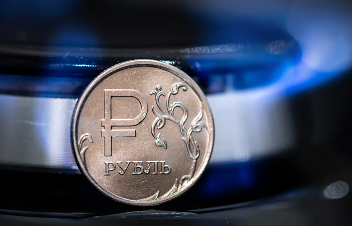 Власти Австрии согласились платить за российский газ в рублях