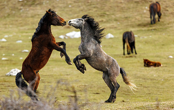 Фотохроника 29 апреля