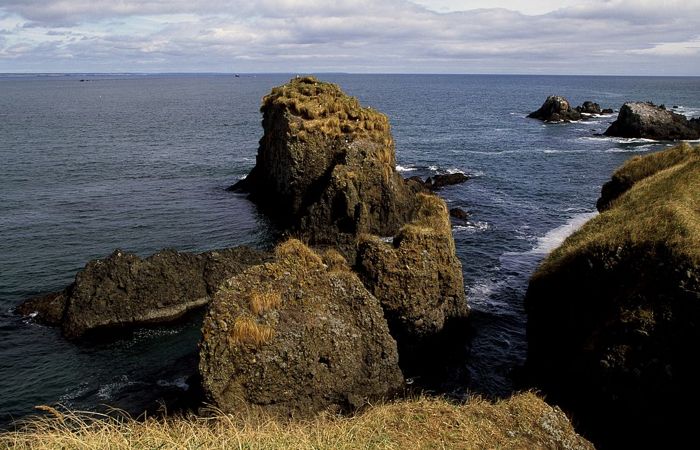 Обнаружено пропавшее в Японии шесть дней назад туристическое судно