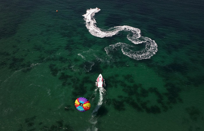 Туроператоры попросили разрешить турецким авиакомпаниям возить больше россиян в Турцию