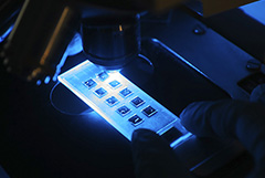 Роспотребнадзор опроверг обнаружение возбудителей холеры в питьевой воде