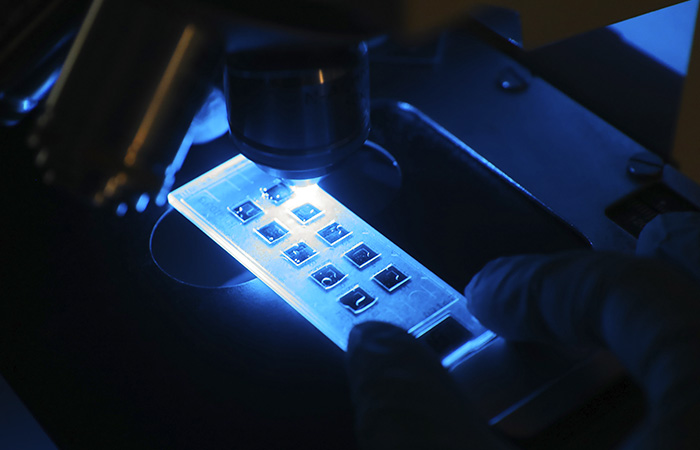 Роспотребнадзор опроверг обнаружение возбудителей холеры в питьевой воде