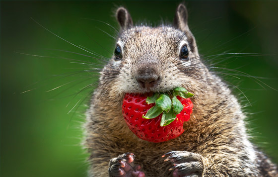 Лучшие фото недели
