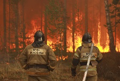 Более 30 лесных пожаров ликвидировано за сутки в Красноярском крае