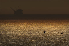 Администрация Байдена отменила тендеры на добычу нефти на трех офшорных участках