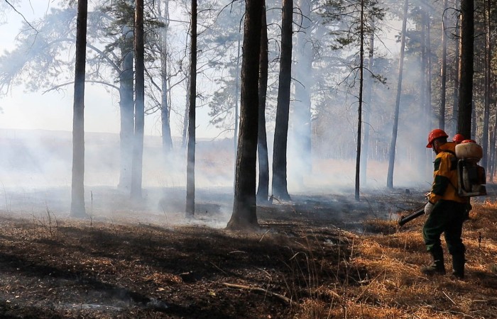 Лесные пожары остановили на подступах к нескольким населенным пунктам Красноярского края