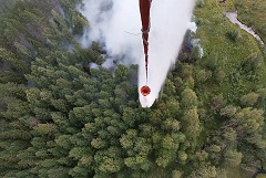 В Иркутской области горит почти 2 тыс. га леса