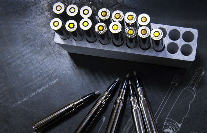 ФСБ и МВД могут наделить правом проверять кандидатов на получение оружия