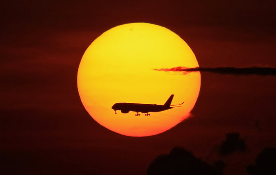 Фотохроника 25 мая