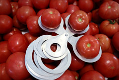 Терапевт Минздрава заявила, что снижение цен на овощи позволит спасти 38 тысяч жизней