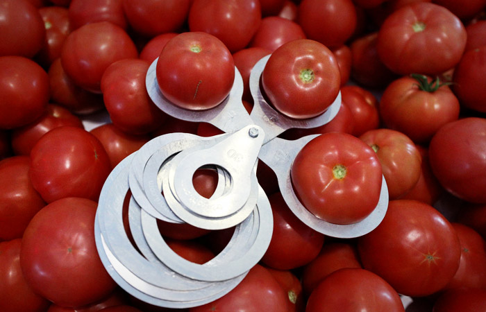 Терапевт Минздрава заявила, что снижение цен на овощи позволит спасти 38 тысяч жизней