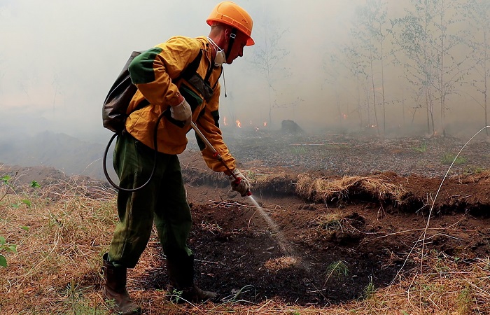 В России горят 60 тыс. га леса