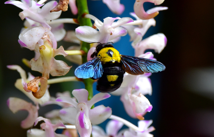 Что произошло в мире науки. Вечерний дайджест