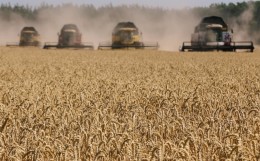 ИКАР повысил прогноз сбора пшеницы в РФ в этом году на 2 млн т