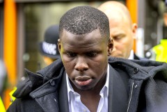 Избивший кота футболист "Вест Хэма" приговорен к 180 часам общественных работ