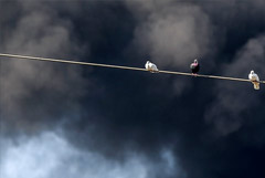 До 15 человек могут находиться внутри горящего бизнес-центра на западе Москвы